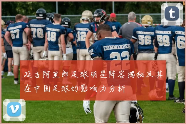 延吉阿里郎足球明星阵容揭秘及其在中国足球的影响力分析