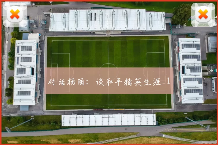 对话杨丽：谈和平精英生涯_1