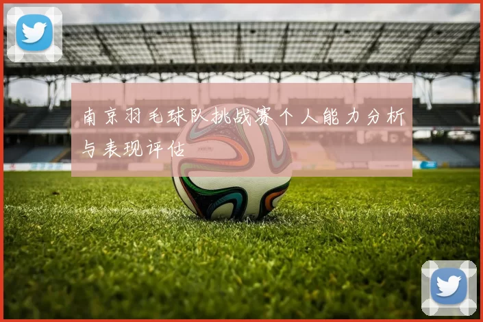 南京羽毛球队挑战赛个人能力分析与表现评估