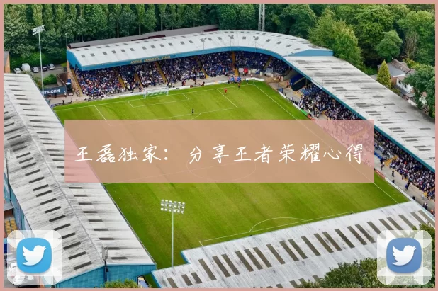 王磊独家：分享王者荣耀心得