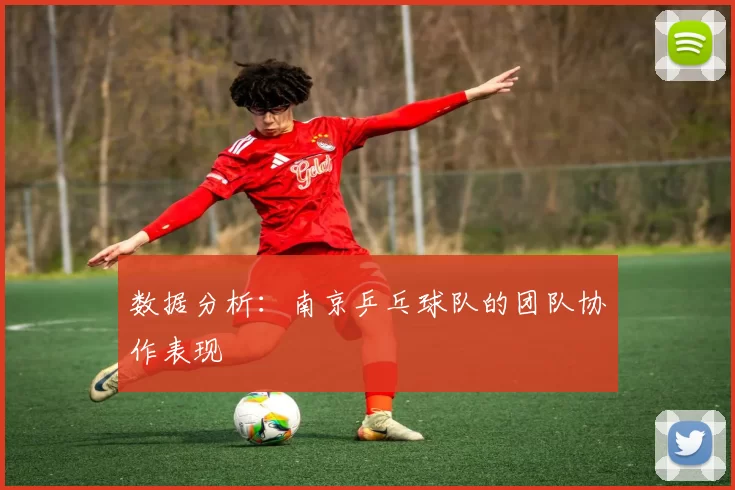 数据分析：南京乒乓球队的团队协作表现